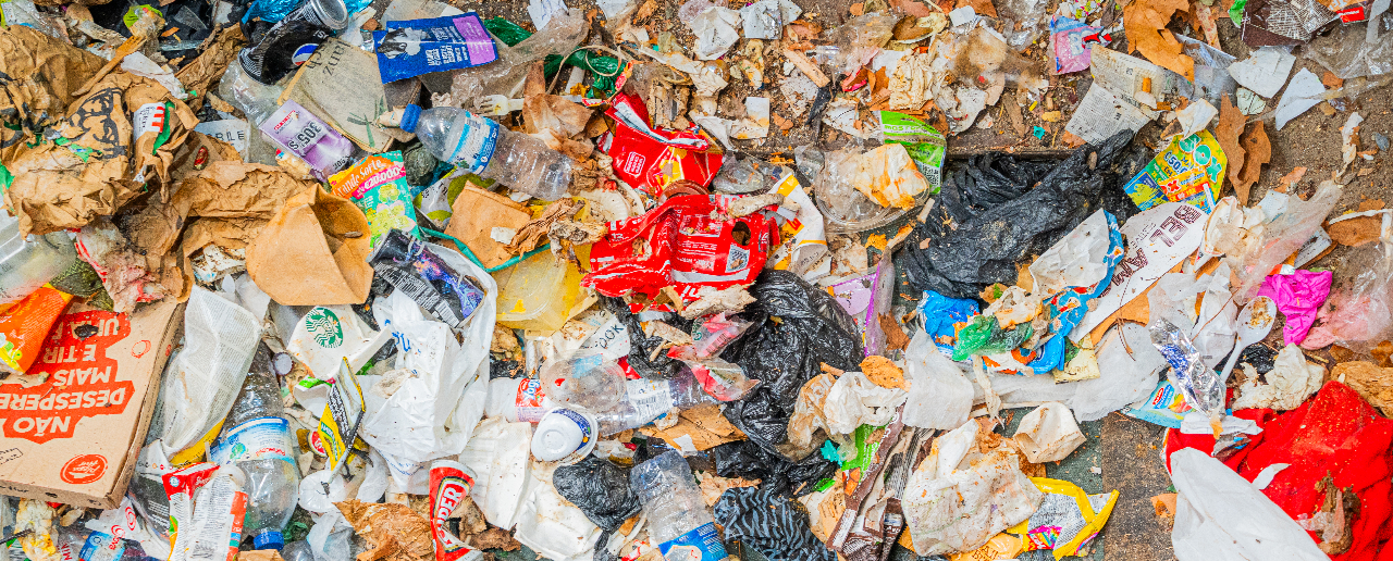 Nas papeleiras de rua estão muitas embalagens que podiam ser recicladas